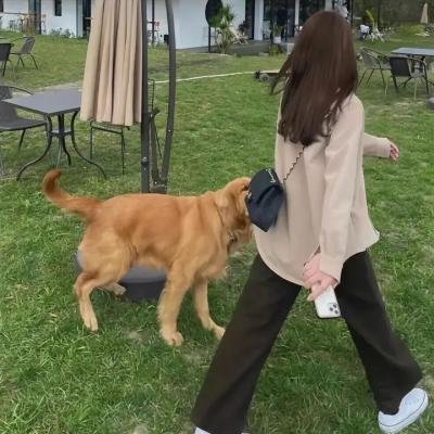 蚊子是怎么生活的